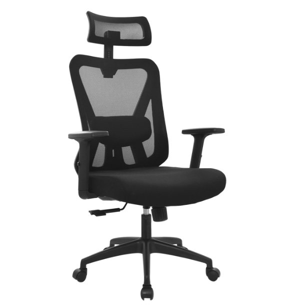 Silla Dolfin
