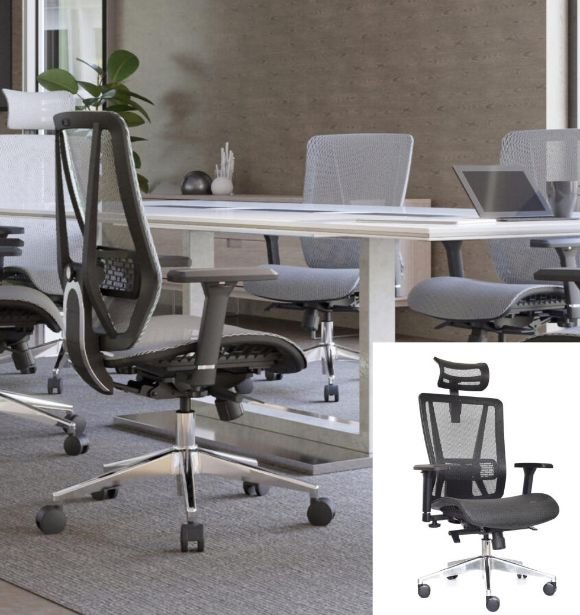 Silla Nefi Presidente